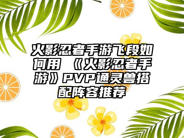 火影忍者手游飞段如何用 《火影忍者手游》PVP通灵兽搭配阵容推荐