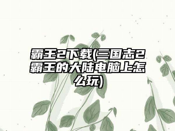 霸王2(三国志2霸王的大陆电脑上怎么玩)
