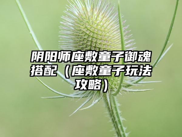 阴阳师座敷童子御魂搭配（座敷童子玩法攻略）