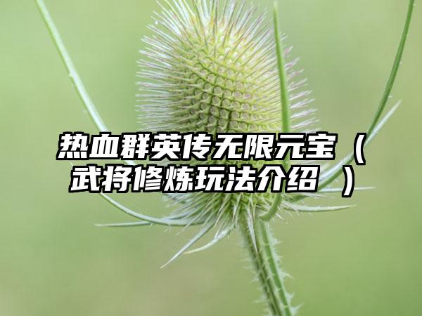 热血群英传无限元宝（武将修炼玩法介绍 ）