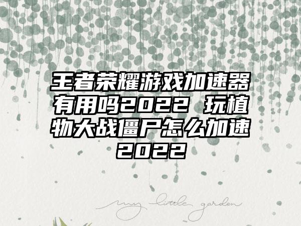 王者荣耀游戏加速器有用吗2022 玩植物大战僵尸怎么加速2022