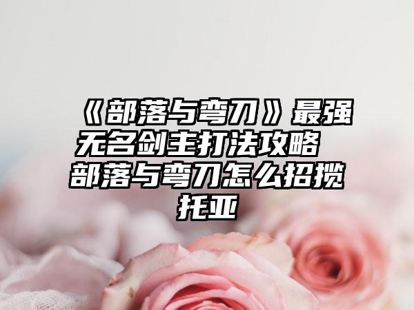 《部落与弯刀》最强无名剑主打法攻略 部落与弯刀怎么招揽托亚