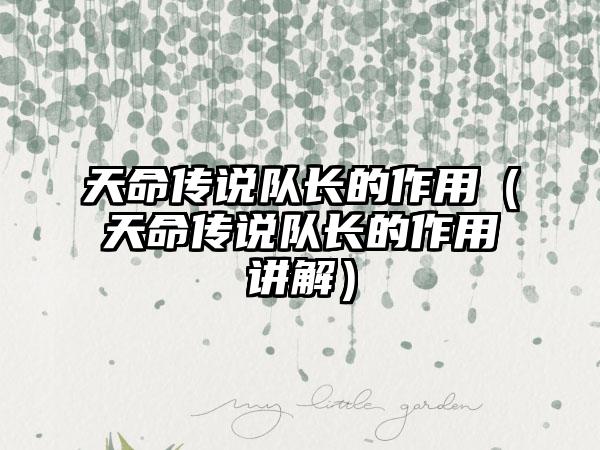 天命传说队长的作用（天命传说队长的作用讲解）