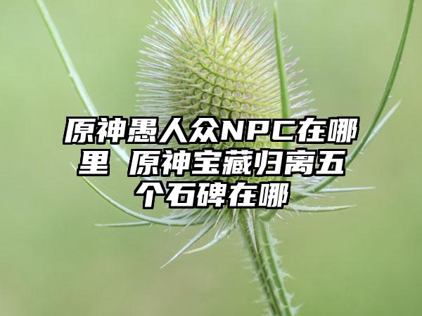 原神愚人众NPC在哪里 原神宝藏归离五个石碑在哪