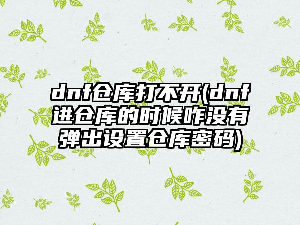 dnf仓库打不开(dnf进仓库的时候咋没有弹出设置仓库密码)