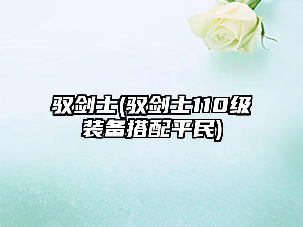 驭剑士(驭剑士110级装备搭配平民)