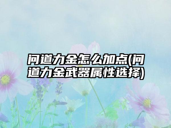 问道力金怎么加点(问道力金武器属性选择)