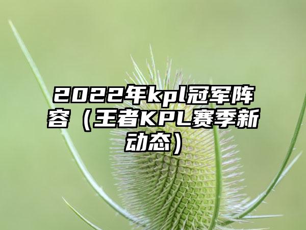 2022年kpl冠军阵容（王者KPL赛季新动态）