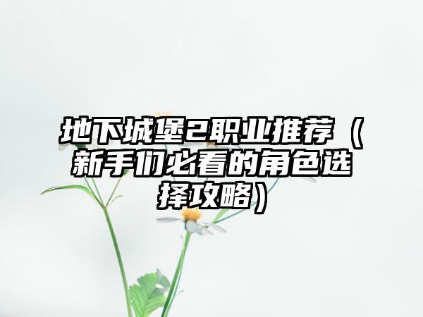 地下城堡2职业推荐（新手们必看的角色选择攻略）