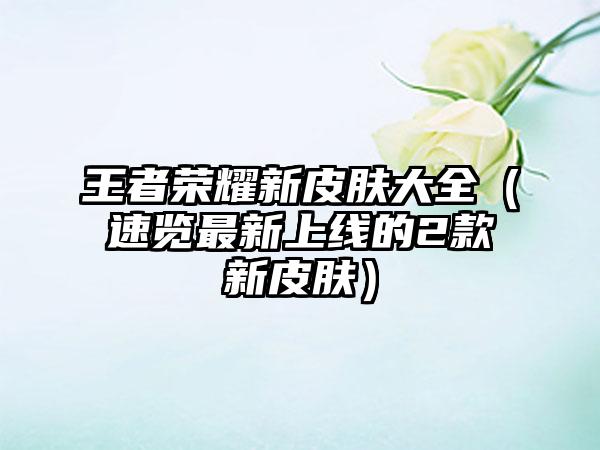 王者荣耀新皮肤大全（速览最新上线的2款新皮肤）