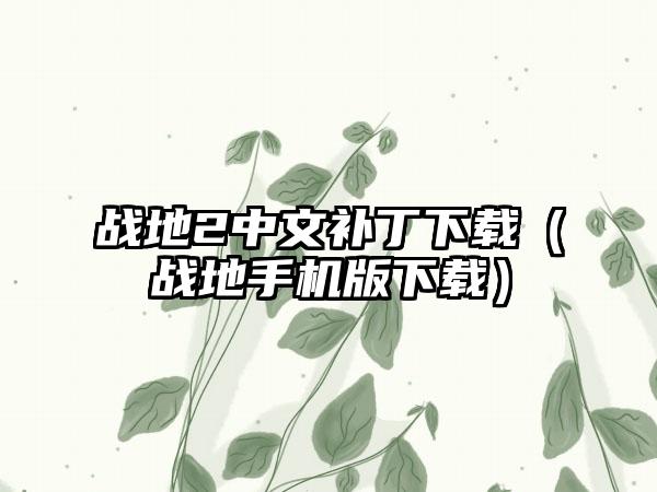 战地2中文补丁（战地手机版）