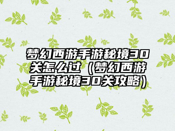 梦幻西游手游秘境30关怎么过（梦幻西游手游秘境30关攻略）