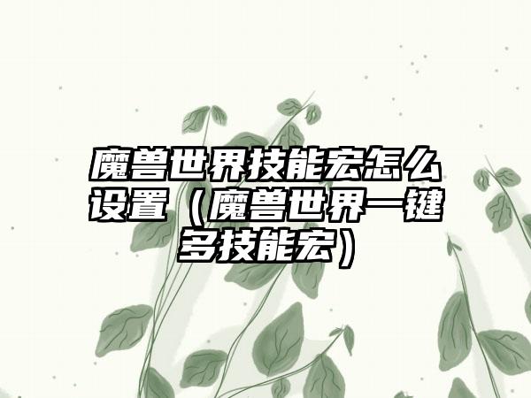 魔兽世界技能宏怎么设置（魔兽世界一键多技能宏）