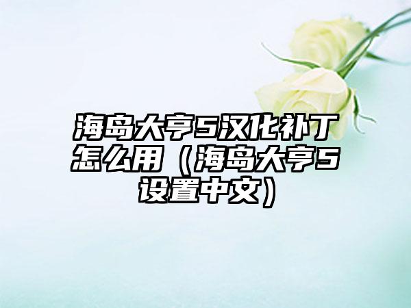 海岛大亨5汉化补丁怎么用（海岛大亨5设置中文）