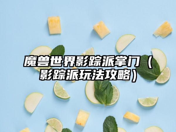 魔兽世界影踪派掌门（影踪派玩法攻略）