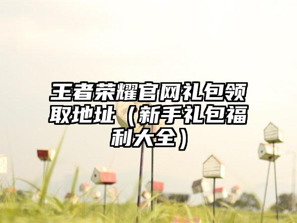 王者荣耀礼包领取地址（新手礼包福利大全）