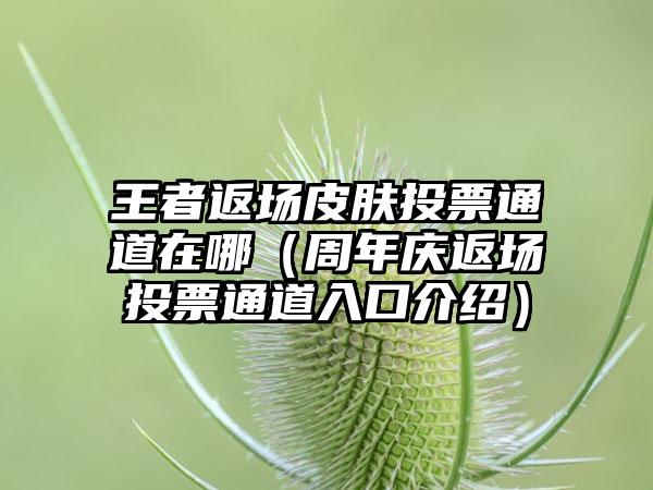 王者返场皮肤投票通道在哪（周年庆返场投票通道入口介绍）