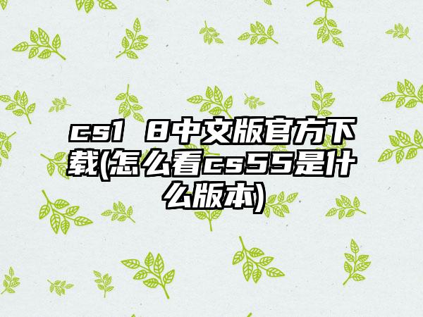 cs1 8中文版官方(怎么看cs55是什么版本)