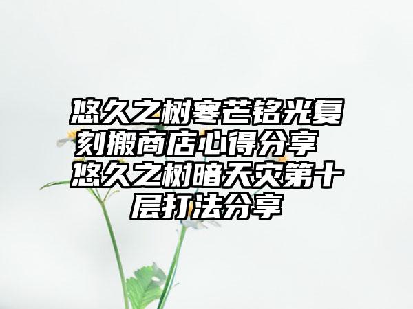 悠久之树寒芒铭光复刻搬商店心得分享 悠久之树暗天灾第十层打法分享