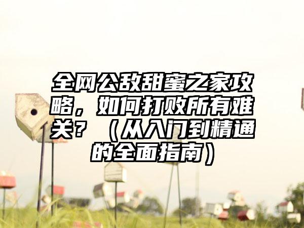 全网公敌甜蜜之家攻略，如何打败所有难关？（从入门到精通的全面指南）