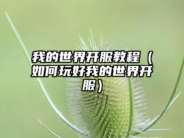 我的世界开服教程（如何玩好我的世界开服）