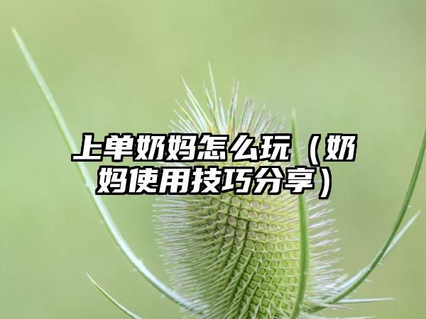 上单奶妈怎么玩（奶妈使用技巧分享）