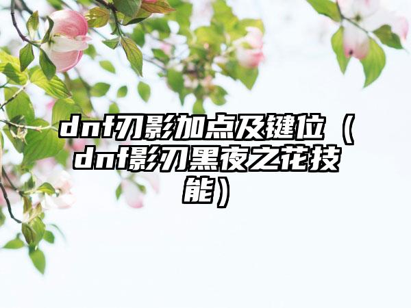 dnf刃影加点及键位（dnf影刃黑夜之花技能）