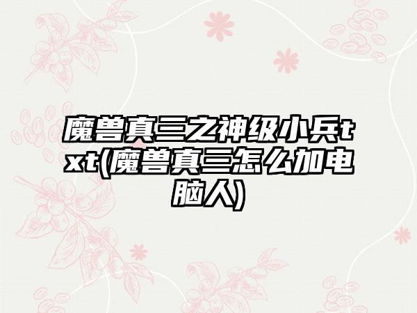 魔兽真三之神级小兵txt(魔兽真三怎么加电脑人)