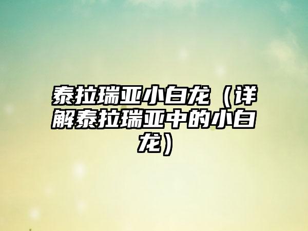 泰拉瑞亚小白龙（详解泰拉瑞亚中的小白龙）