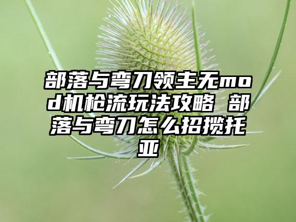 部落与弯刀领主无mod机枪流玩法攻略 部落与弯刀怎么招揽托亚