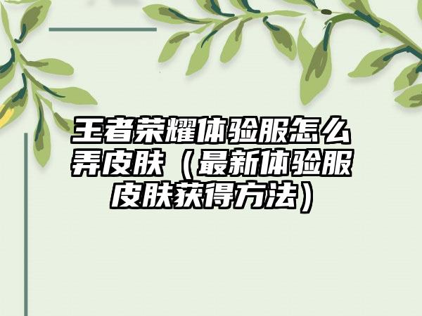 王者荣耀体验服怎么弄皮肤（最新体验服皮肤获得方法）