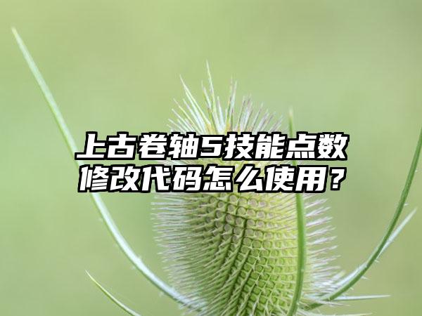 上古卷轴5技能点数修改代码怎么使用？