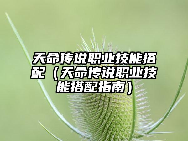 天命传说职业技能搭配（天命传说职业技能搭配指南）