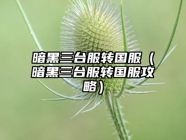 暗黑三台服转国服（暗黑三台服转国服攻略）