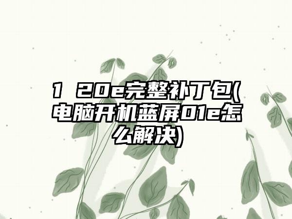 1 20e完整补丁包(电脑开机蓝屏01e怎么解决)