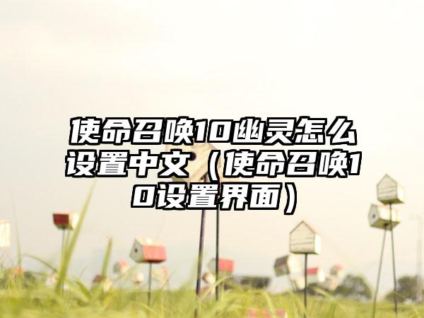 使命召唤10幽灵怎么设置中文（使命召唤10设置界面）