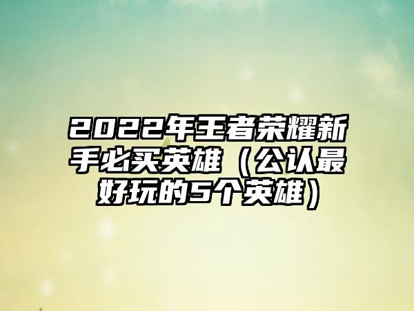 2022年王者荣耀新手必买英雄（公认最好玩的5个英雄）