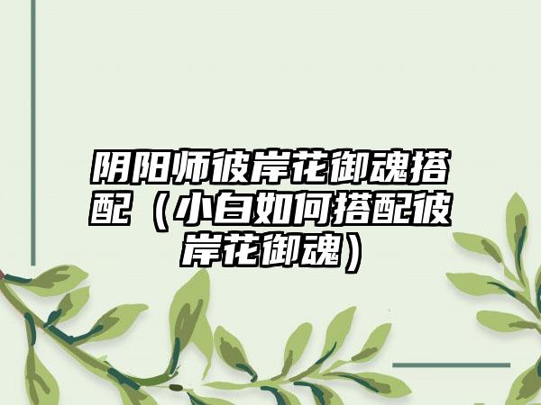 阴阳师彼岸花御魂搭配（小白如何搭配彼岸花御魂）