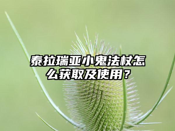 泰拉瑞亚小鬼法杖怎么获取及使用？