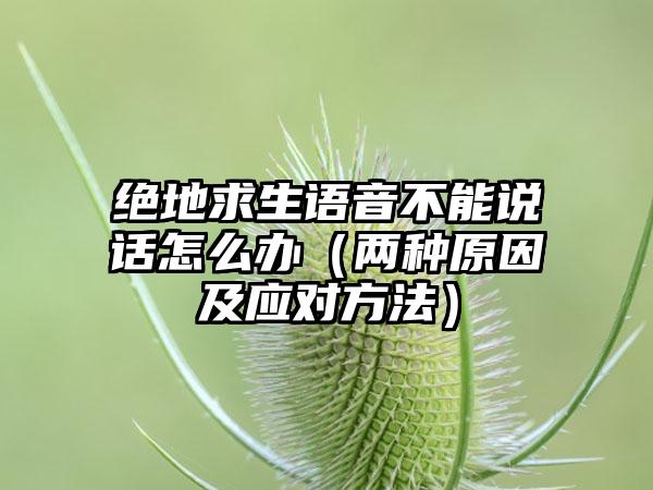 绝地求生语音不能说话怎么办（两种原因及应对方法）