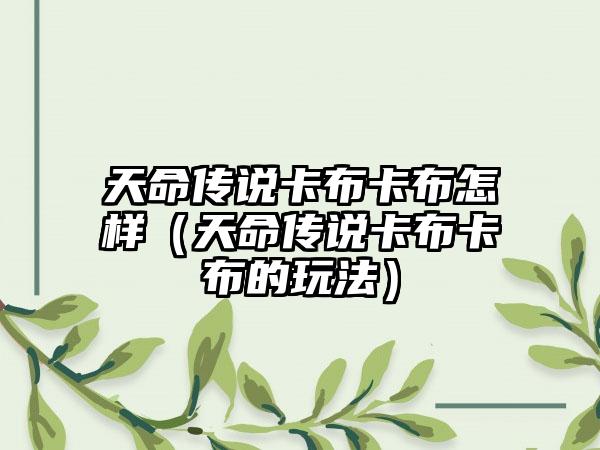 天命传说卡布卡布怎样（天命传说卡布卡布的玩法）