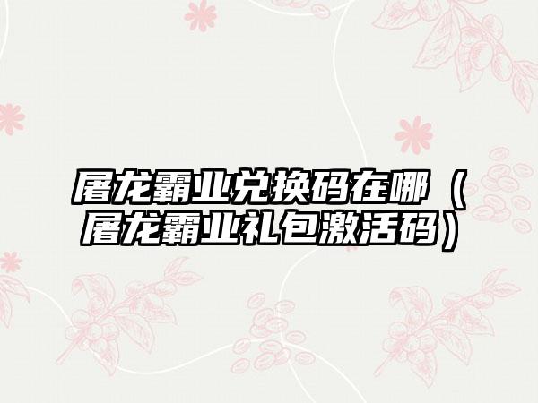 屠龙霸业兑换码在哪（屠龙霸业礼包激活码）