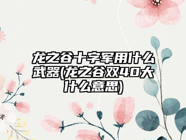 龙之谷十字军用什么武器(龙之谷双40大什么意思)