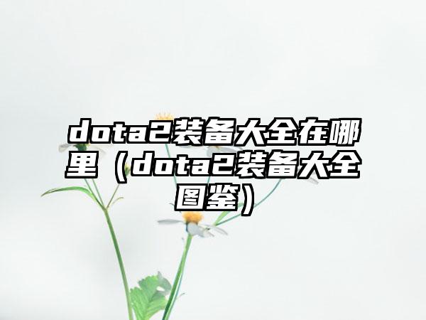 dota2装备大全在哪里（dota2装备大全图鉴）
