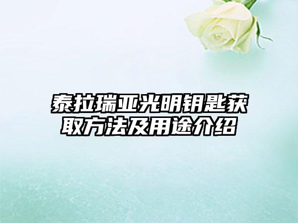 泰拉瑞亚光明钥匙获取方法及用途介绍