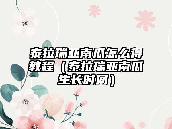泰拉瑞亚南瓜怎么得教程（泰拉瑞亚南瓜生长时间）