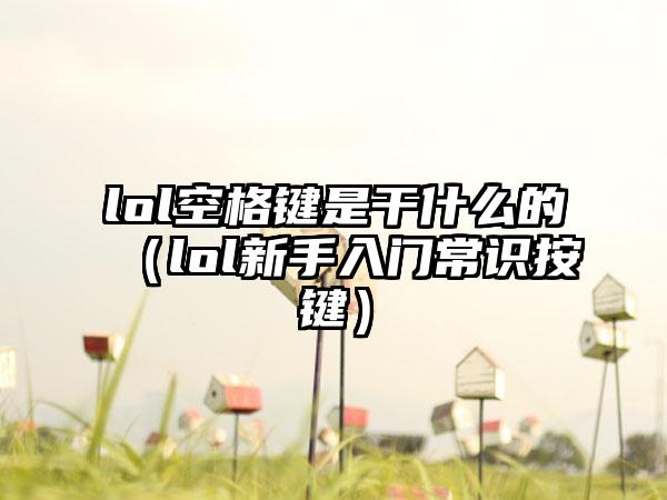 lol空格键是干什么的（lol新手入门常识按键）