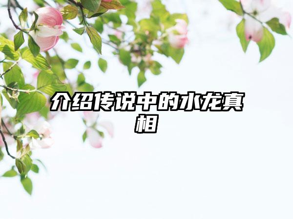 介绍传说中的水龙真相