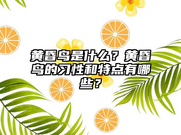 黄昏鸟是什么？黄昏鸟的习性和特点有哪些？