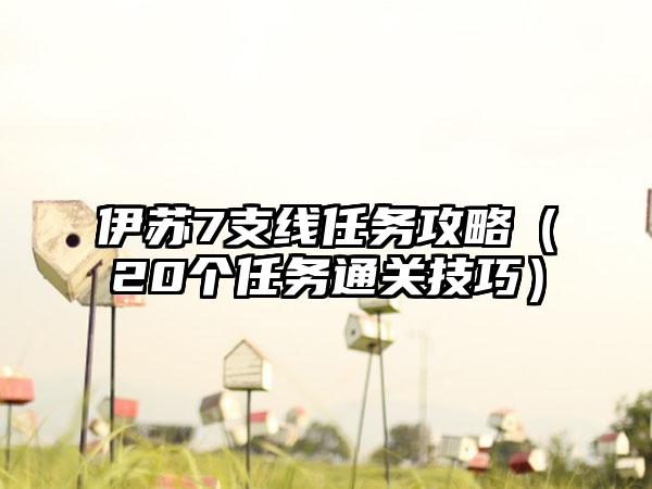 伊苏7支线任务攻略（20个任务通关技巧）